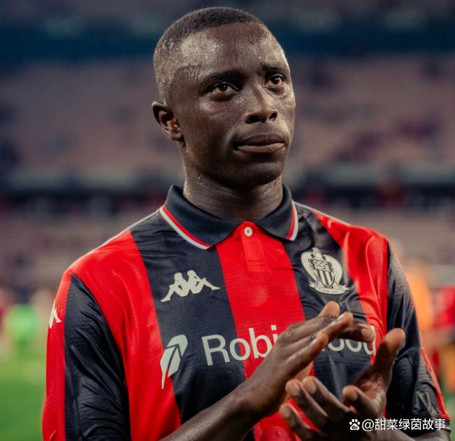 爱游戏官网-尼斯足球俱乐部主场