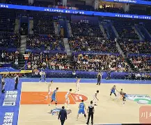 素问灵兰秘典论原文及译文